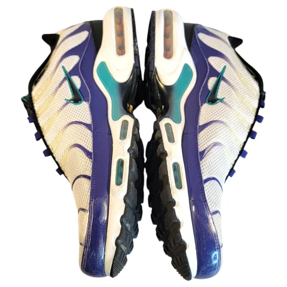 Nike Air Max Grape WHITE/GRAPE ICE Men's Size 13 Charlotte HornetsVibes